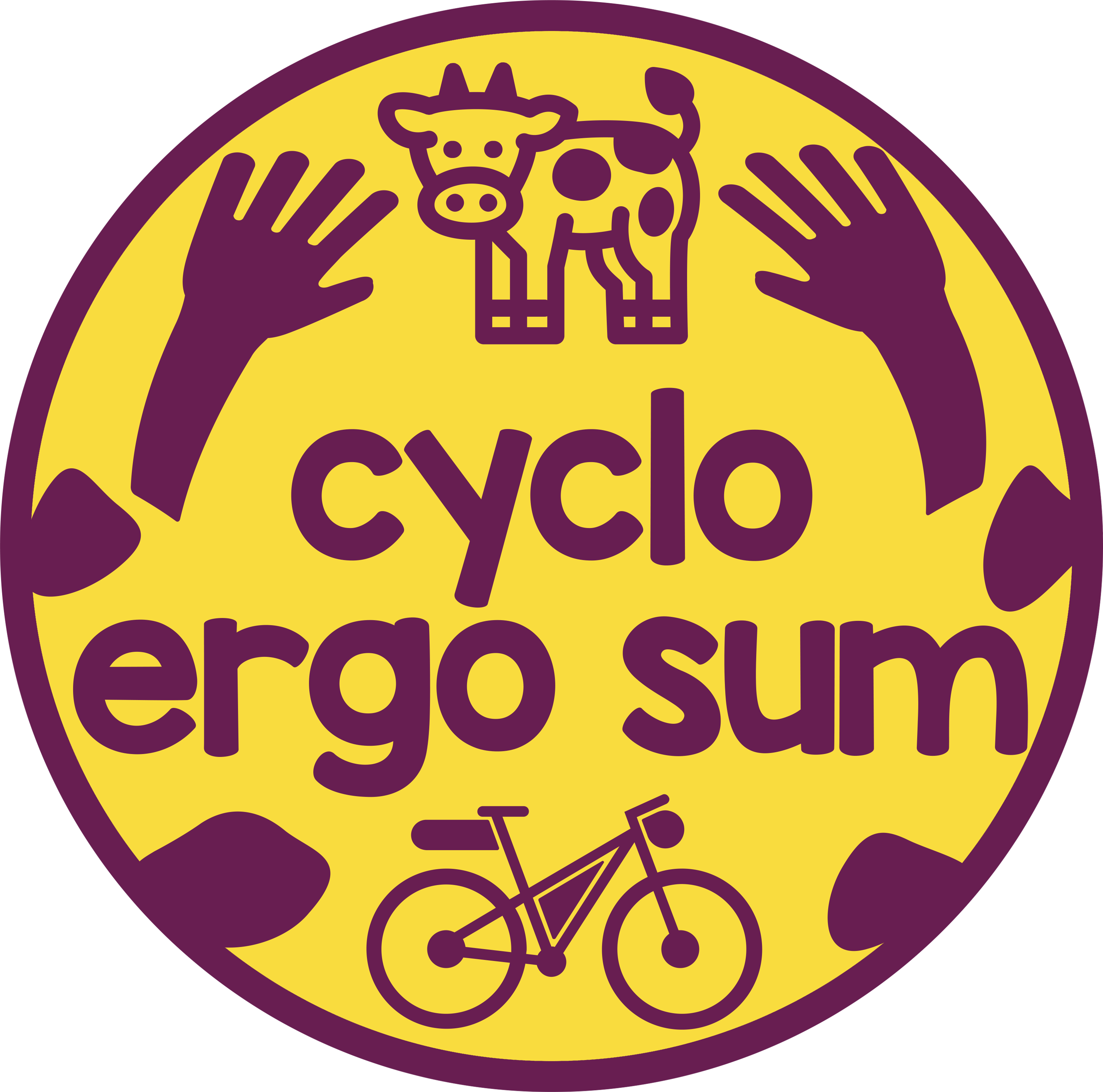 Cyclo Ergo Sum Logo