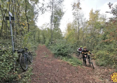 Into Prealps Fagianico - Colli Berici in bici | A spinta