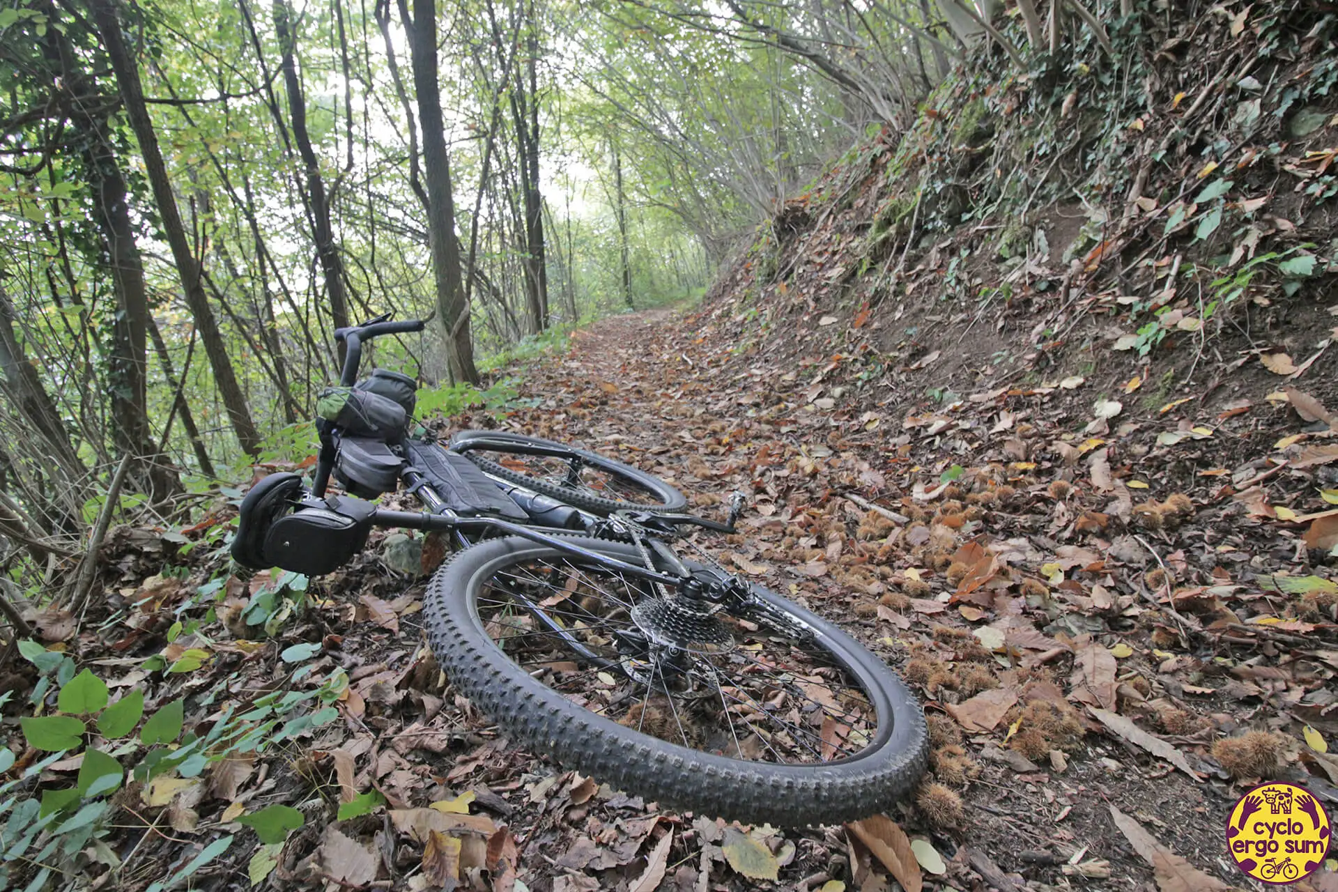 Into Prealps Fagianico - Colli Berici in bici | Bombtrack nel sentiero
