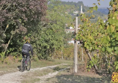 Into Prealps Fagianico - Colli Berici in bici | Sopra Lumignano