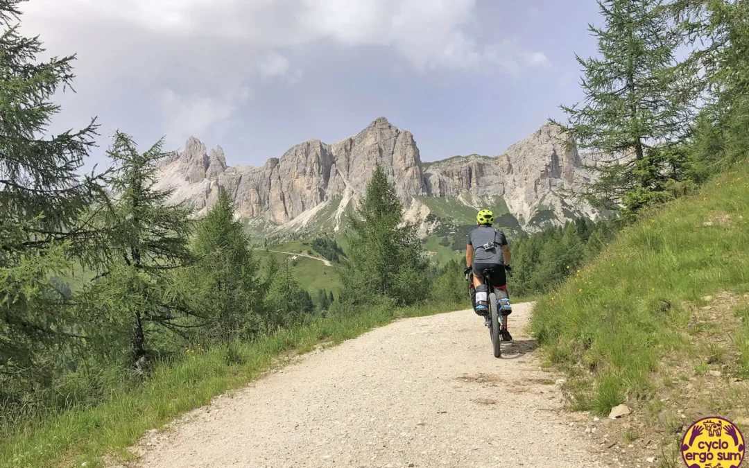 Veneto Trail 2022: a volte soffrire è godere