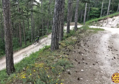 MAGS Abruzzo Trail 2023 | Sterrata nel bosco