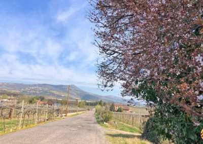 Percorsi gravel in Valpolicella | Panorami spaziali