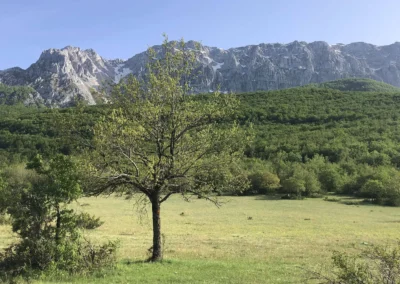 Trail dei Parchi | Vista monti