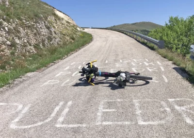 Trail dei Parchi | Bici con puledri