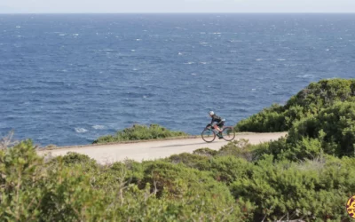 Asinara in bici: 6 domande e risposte sull’isola
